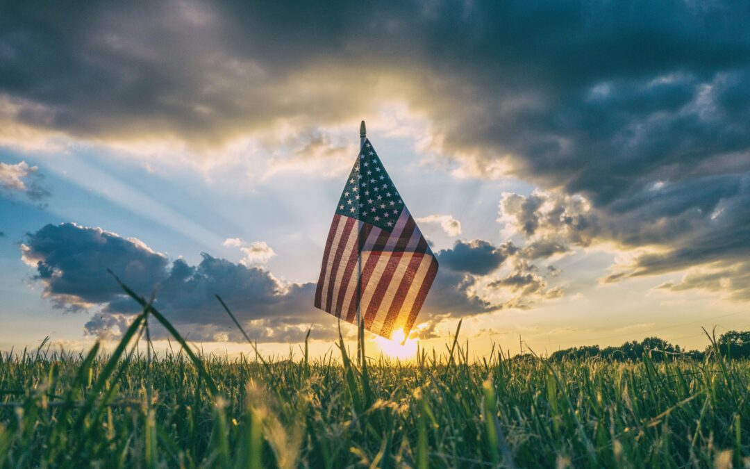 ALPost24-2025-08-Newsletter